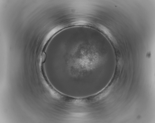 X0000090471418200708102123