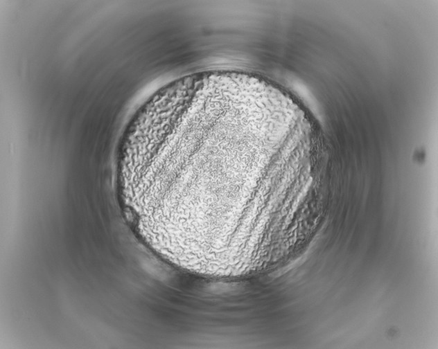 X0000090471419200708102123