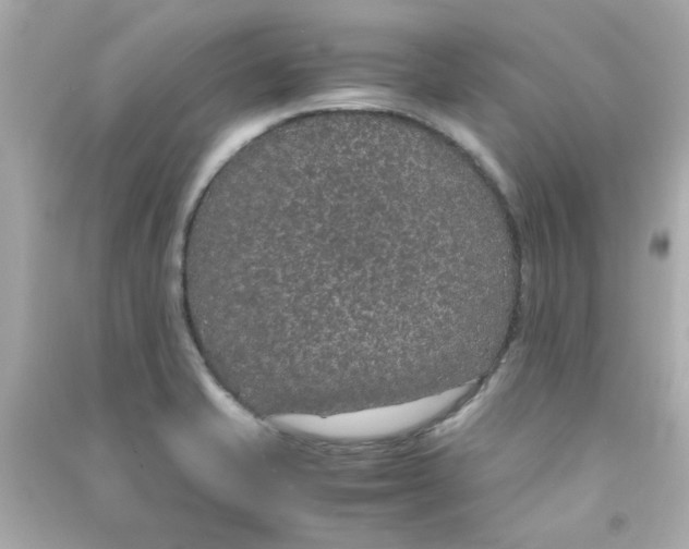 X0000090471421200708102123