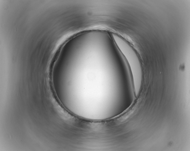 X0000090471422200708102123