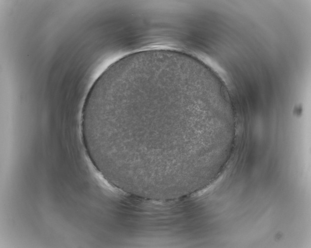 X0000090471423200708102123