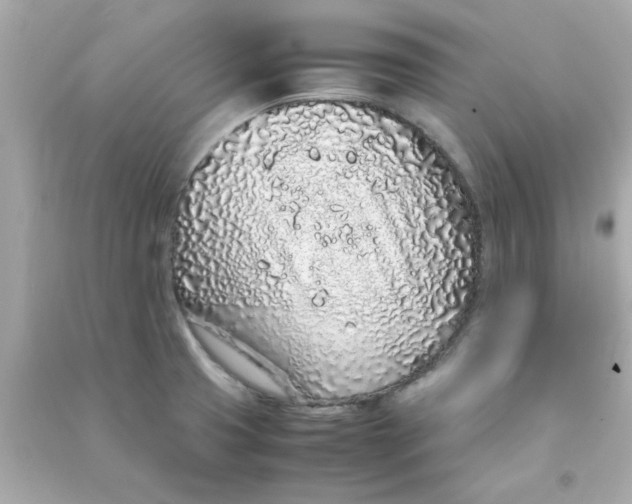 X0000090471425200708102123