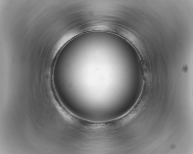 X0000090471426200708102124