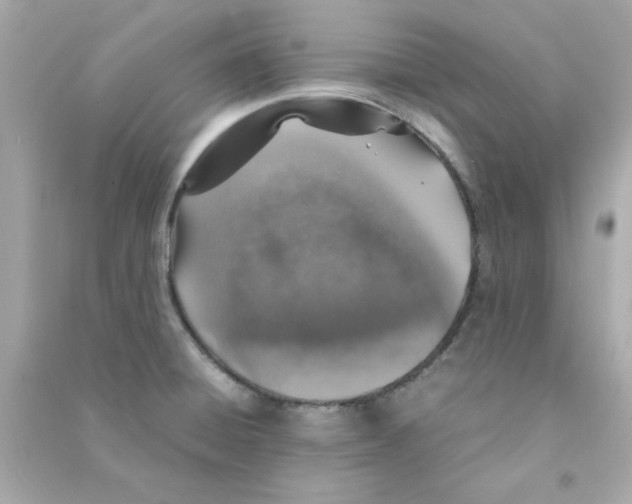 X0000090471428200708102124