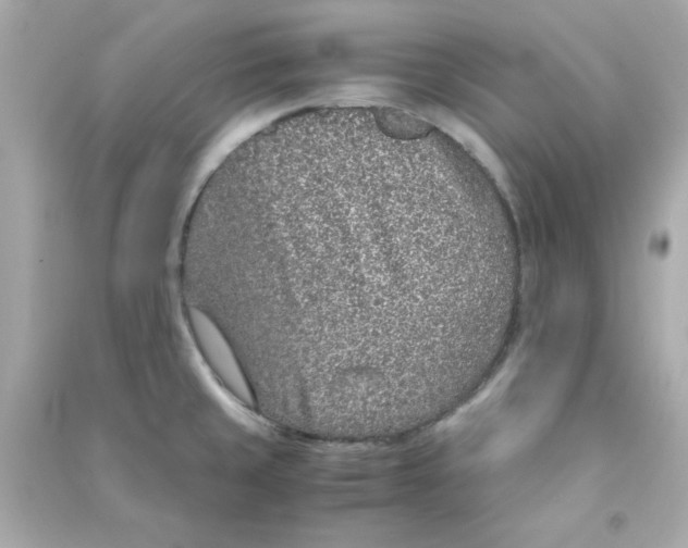 X0000090471429200708102124