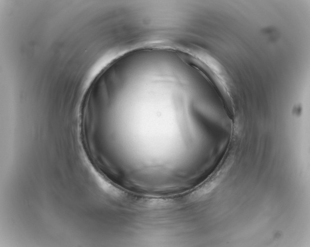 X0000090471430200708102124