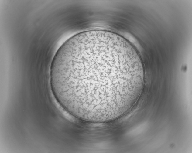 X0000090471431200708102124