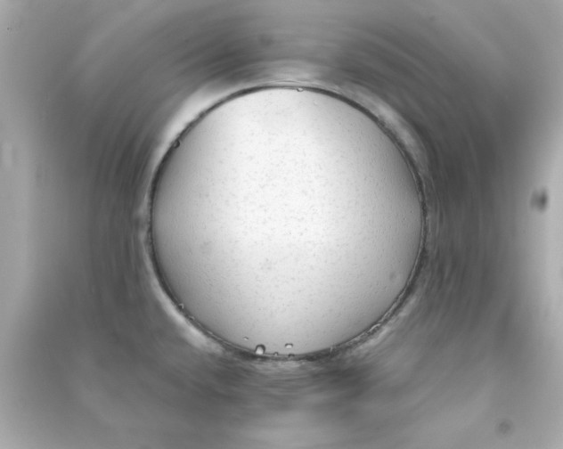 X0000090471432200708102124