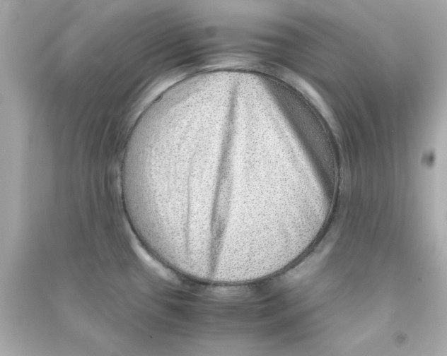 X0000090471433200708102124