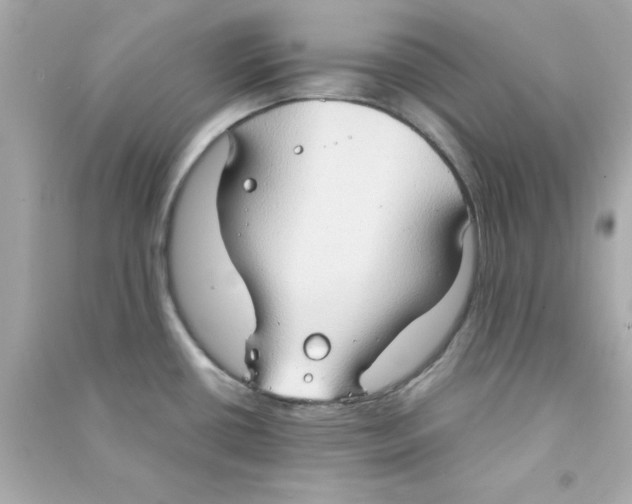 X0000090471434200708102124