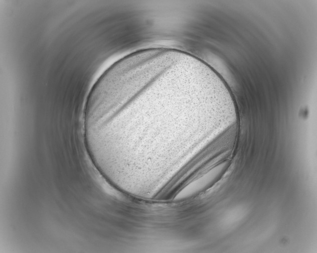 X0000090471436200708102124