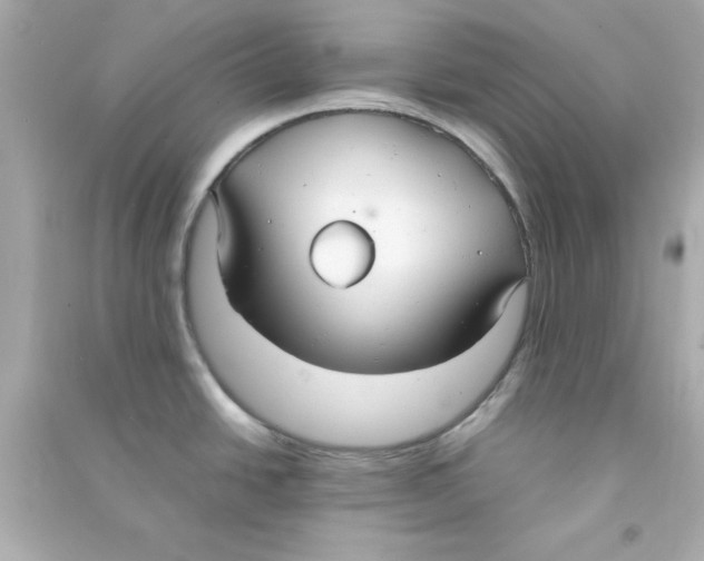 X0000090471438200708102124