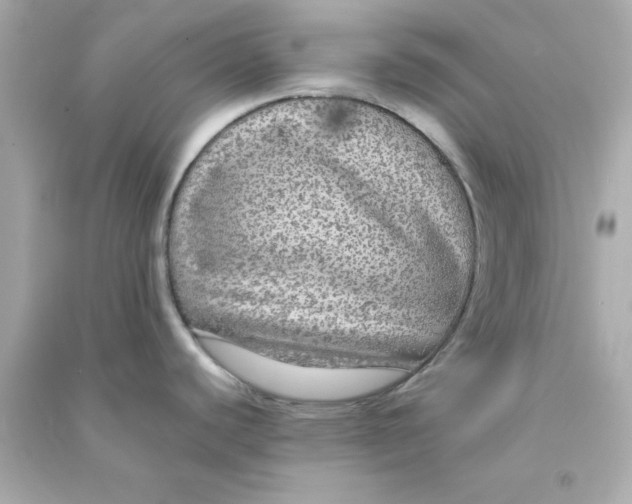 X0000090471440200708102124