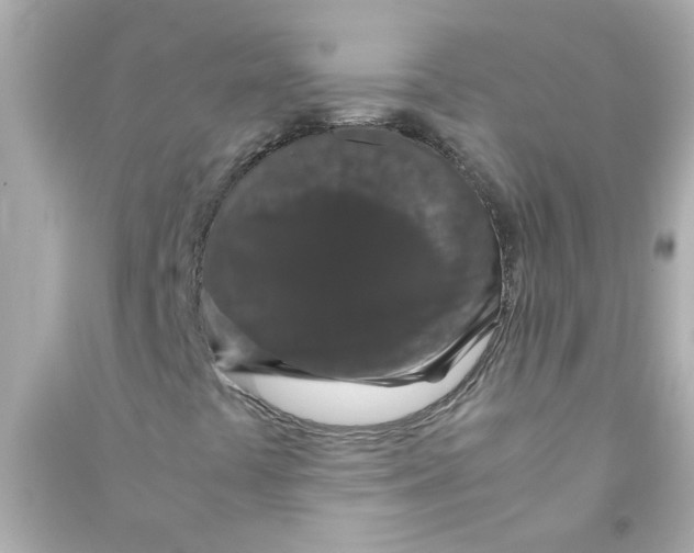 X0000090471441200708102123