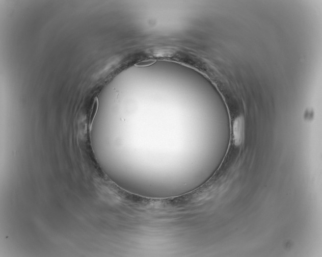 X0000090471443200708102123