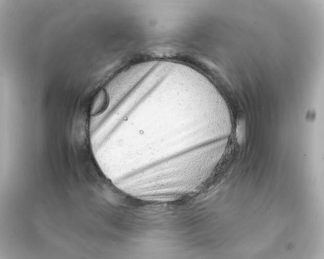 X0000090471444200708102123