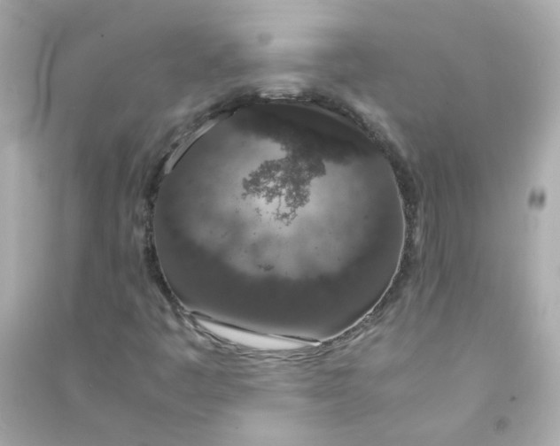 X0000090471445200708102123