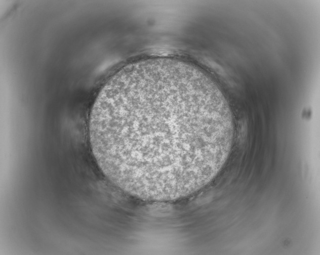 X0000090471446200708102123