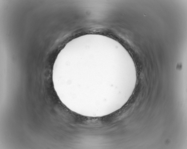 X0000090471447200708102123