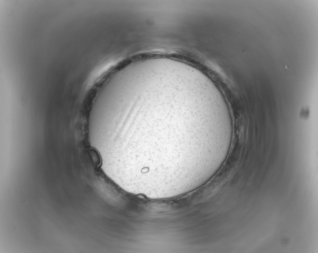 X0000090471448200708102123