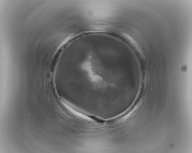 X0000090471449200708102123