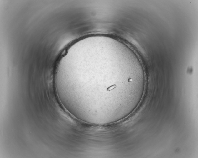 X0000090471450200708102123