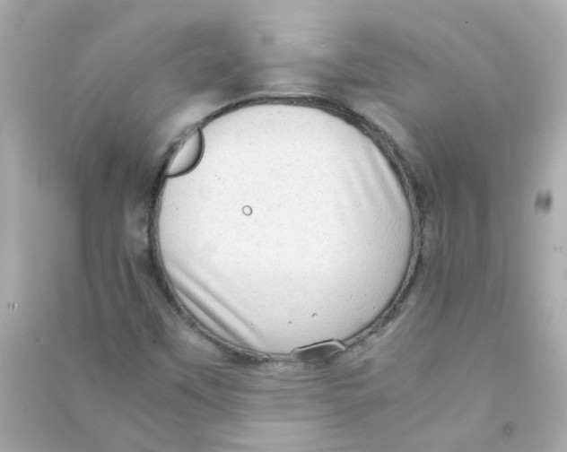 X0000090471451200708102123