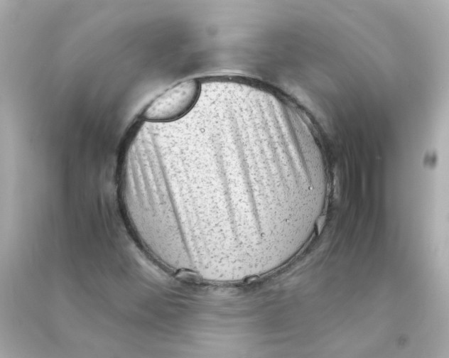 X0000090471452200708102123