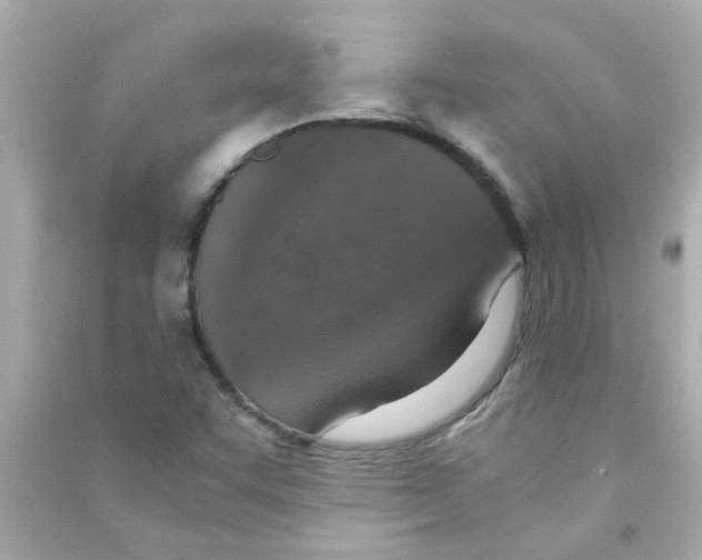 X0000090471455200708102123