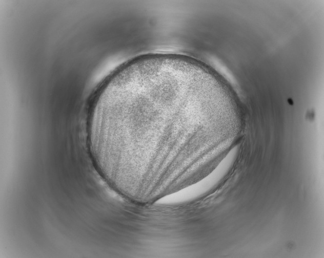 X0000090471456200708102123