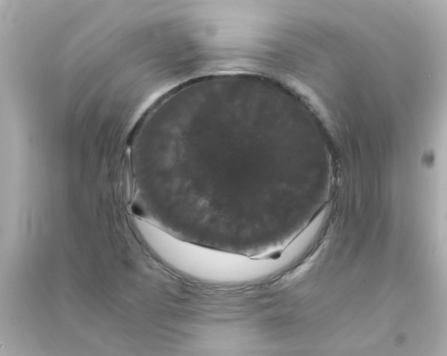 X0000090471457200708102123