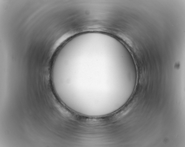 X0000090471458200708102123