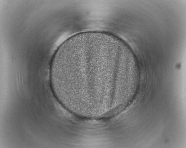 X0000090471459200708102123