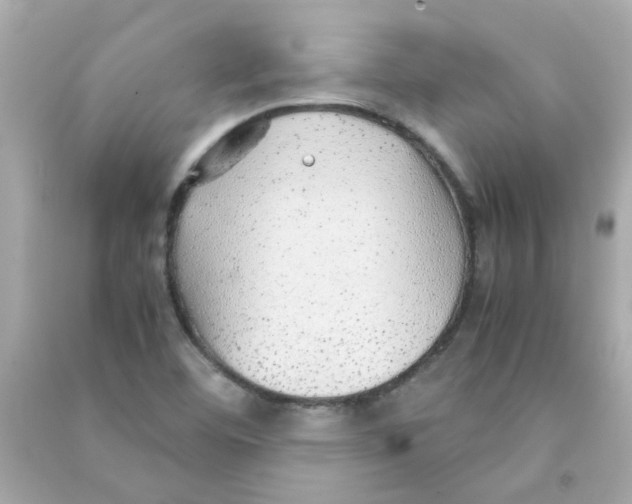 X0000090471460200708102123