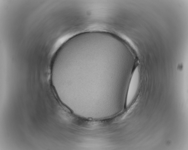 X0000090471461200708102123