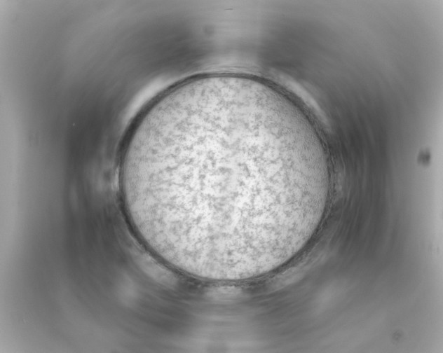 X0000090471462200708102123