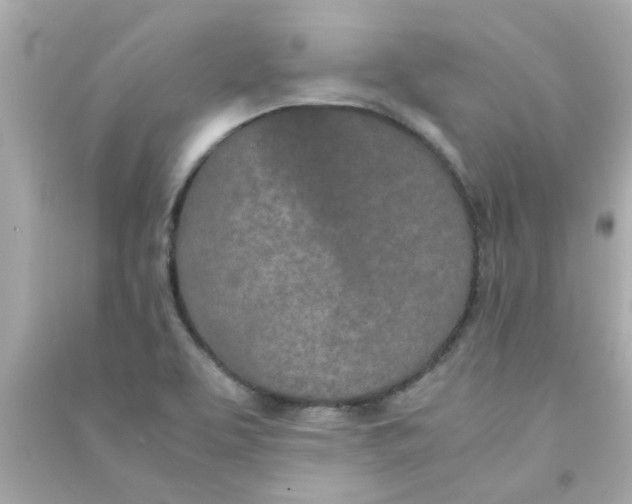 X0000090471463200708102123