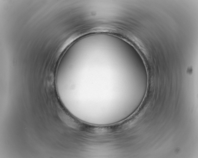 X0000090471465200708102123