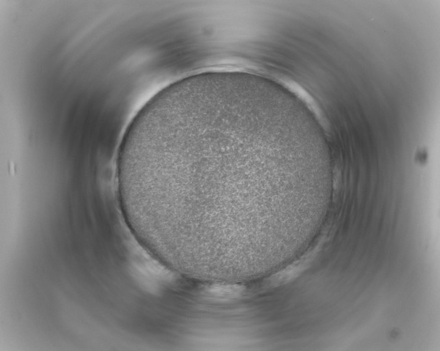 X0000090471466200708102123