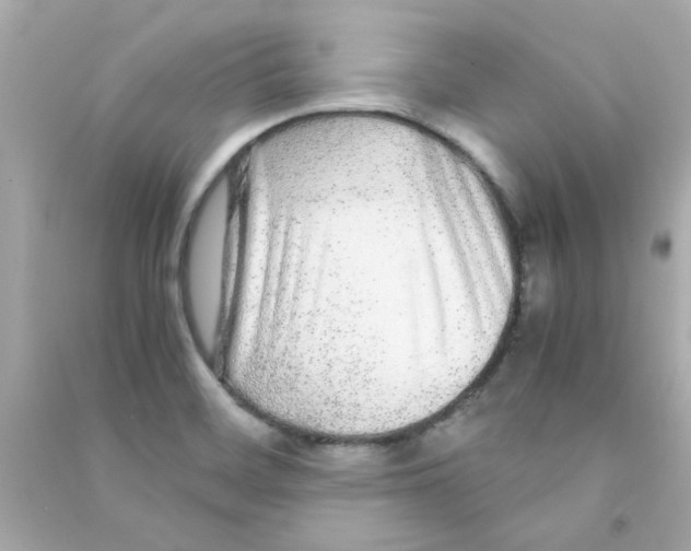 X0000090471468200708102123