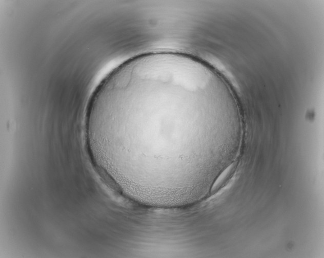 X0000090471469200708102123