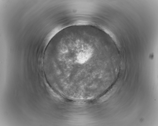 X0000090471473200708102123