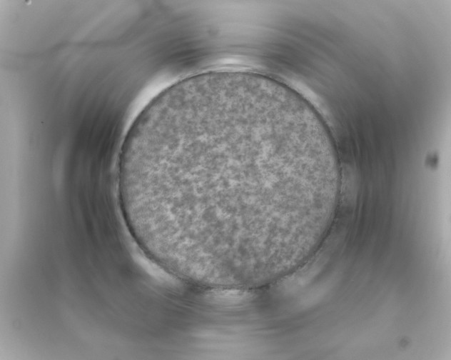 X0000090471474200708102123