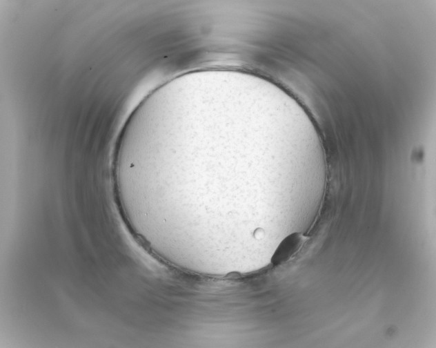 X0000090471475200708102123