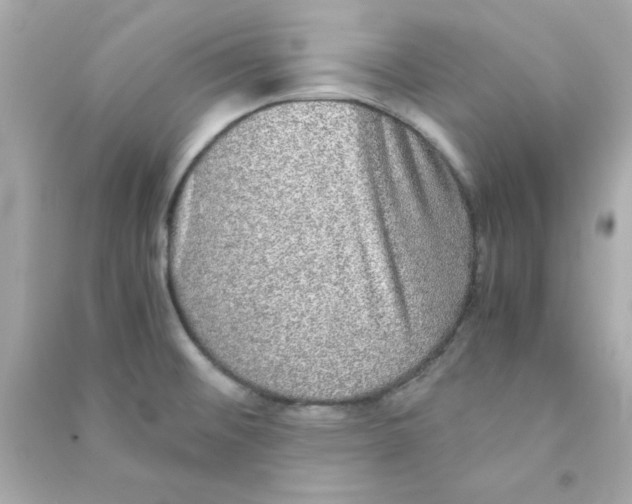 X0000090471476200708102123