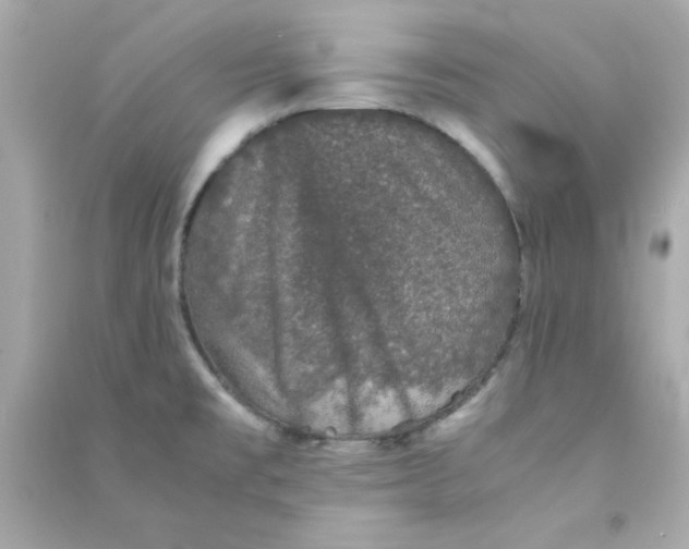 X0000090471477200708102123