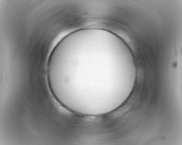 X0000090471478200708102123