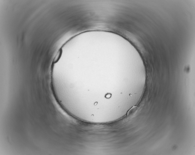 X0000090471479200708102123