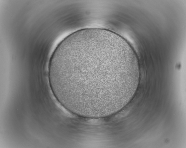 X0000090471480200708102123