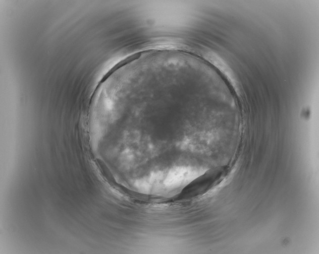 X0000090471481200708102122